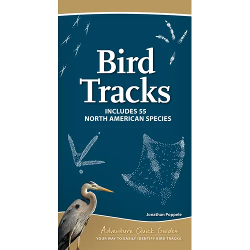 Bird Tracks: Includes 55 North American Species - Spiral