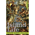 Island Life - Paperback