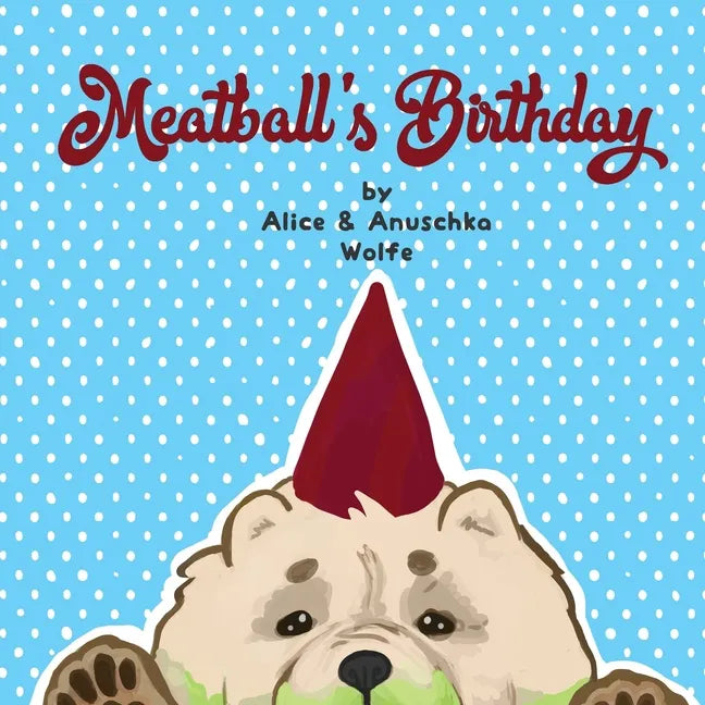 Meatball's Birthday - Paperback