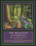 The Practice of Herbalism: Options on the Plant Healer's Path - Paperback