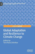 Global Adaptation and Resilience to Climate Change - Hardcover