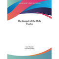 The Gospel of the Holy Twelve - Paperback