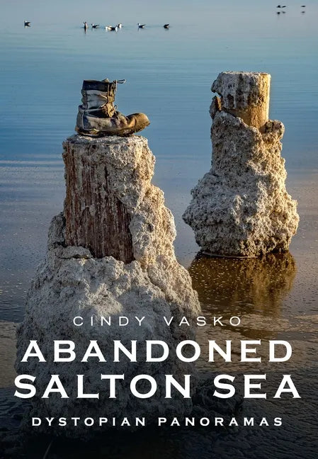 Abandoned Salton Sea: Dystopian Panoramas - Paperback