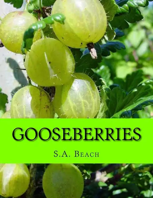 Gooseberries - Paperback