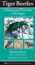 Tiger Beetles of Minnesota, Wisconsin & Michigan - Paperback