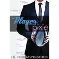 The Player and the Pixie - Paperback