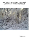Michigan Splendor Pictures and Words to Think about - Paperback