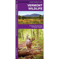 Vermont Wildlife: A Folding Pocket Guide to Familiar Animals