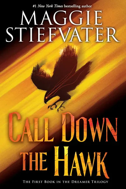 Call Down the Hawk (the Dreamer Trilogy, Book 1): Volume 1 - Paperback