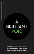A Brilliant Void - Paperback