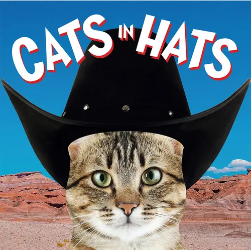 Cats in Hats - Board Book