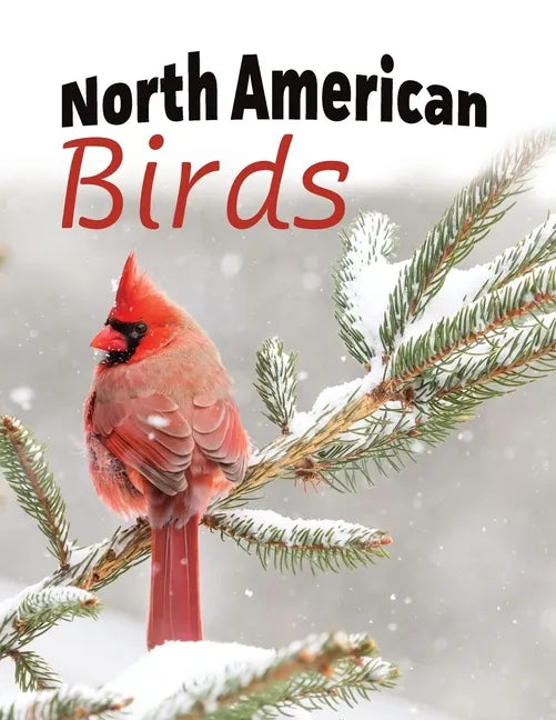 North American Birds - Paperback