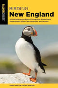 Birding New England - Paperback