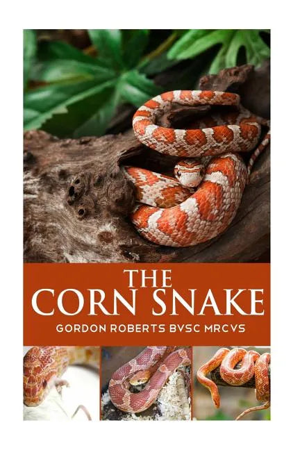 The Corn Snake - Paperback
