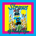 Straws - Paperback