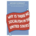 Why Is There No Socialism in the United States? - Paperback