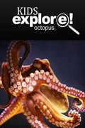 Octopus - Kids Explore: Animal books nonfiction - books ages 5-6 - Paperback