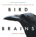 Bird Brains: The Intelligence of Crows, Ravens, Magpies, and Jays - Paperback