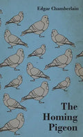 The Homing Pigeon - Hardcover