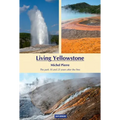 Living Yellowstone: The Park 10 and 25 Years After the Fires - Paperback