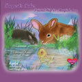 Rupert's Tales: Raascal's Bunny Hugs: Friendship is Magick, too - Paperback