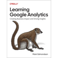 Learning Google Analytics: Creating Business Impact and Driving Insights - Paperback