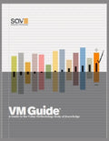 VM Guide: A Guide to the Value Methodology Body of Knowledge - Paperback