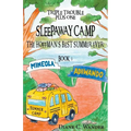 Sleepaway Camp-The Hoffman's Best Summer Ever!: Triple Trouble Plus One: Book 3 - Paperback
