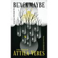 The Black Maybe: Liminal Tales - Paperback