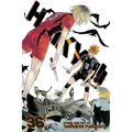 Haikyu!!, Vol. 36 - Paperback