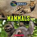 Mammals (Wild World: Fast and Slow Animals) - Paperback