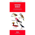 Maryland & DC Birds: A Folding Pocket Guide to Familiar Species