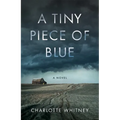 A Tiny Piece of Blue - Paperback