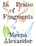 In Praise of Fragments - Paperback
