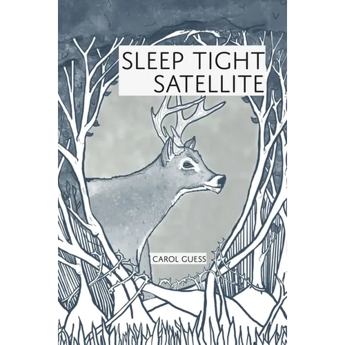 Sleep Tight Satellite: Stories - Paperback