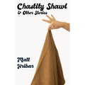 Chastity Shawl & Other Stories: Comedic essays about life -- in it's awkward, observational glory! - Paperback