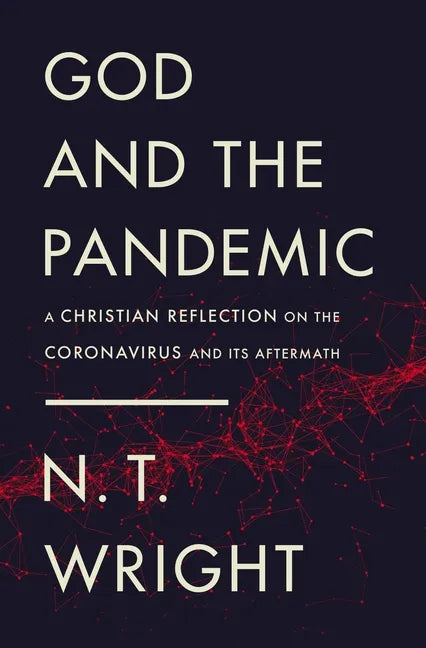 God and the Pandemic: A Christian Reflection on the Coronavirus and Its Aftermath - Paperback
