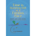 Time Is Standing Still at a Furious Pace: Aphorisms, Adages, Maxims, Proverbs, Epigrams, Litotes and Sheer Nonsense - Paperback