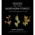 Sedges of the Northern Forest: A Photographic Guide - Paperback