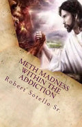 METH Madness Within The Addiction - Paperback