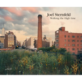 Joel Sternfeld: Walking the High Line: Revised Edition - Hardcover