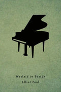 Waylaid in Boston: (A Homer Evans Mystery) - Paperback
