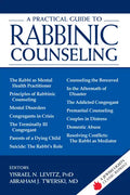 A Practical Guide to Rabbinic Counseling: A Jewish Lights Classic Reprint - Paperback