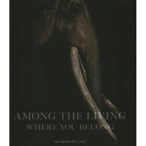 Among the Living: Where You Belong - Hardcover