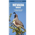 Nevada Birds: A Folding Pocket Guide to Familiar Species - Paperback