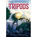 The White Mountains - Paperback