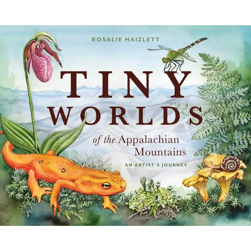 Tiny Worlds of the Appalachian Mountains: An Artist's Journey - Hardcover