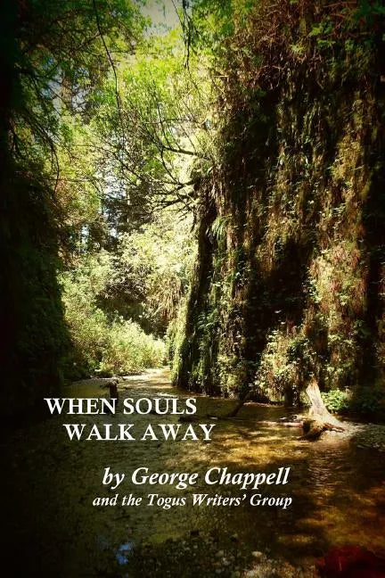 When Souls Walk Away - Paperback