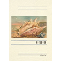 Vintage Lined Notebook Conch Shell Greetings from Carpinteria - Paperback