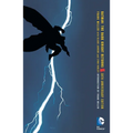 Batman: The Dark Knight Returns - Paperback
